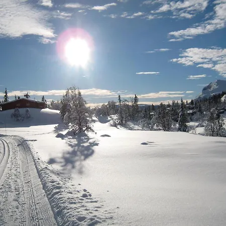 Lovely In Eggedal With Wifi Semesterbostad