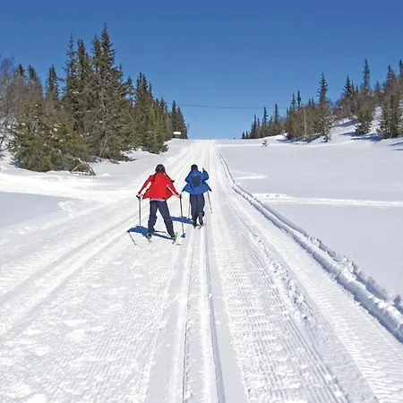 Lovely In Eggedal With Wifi